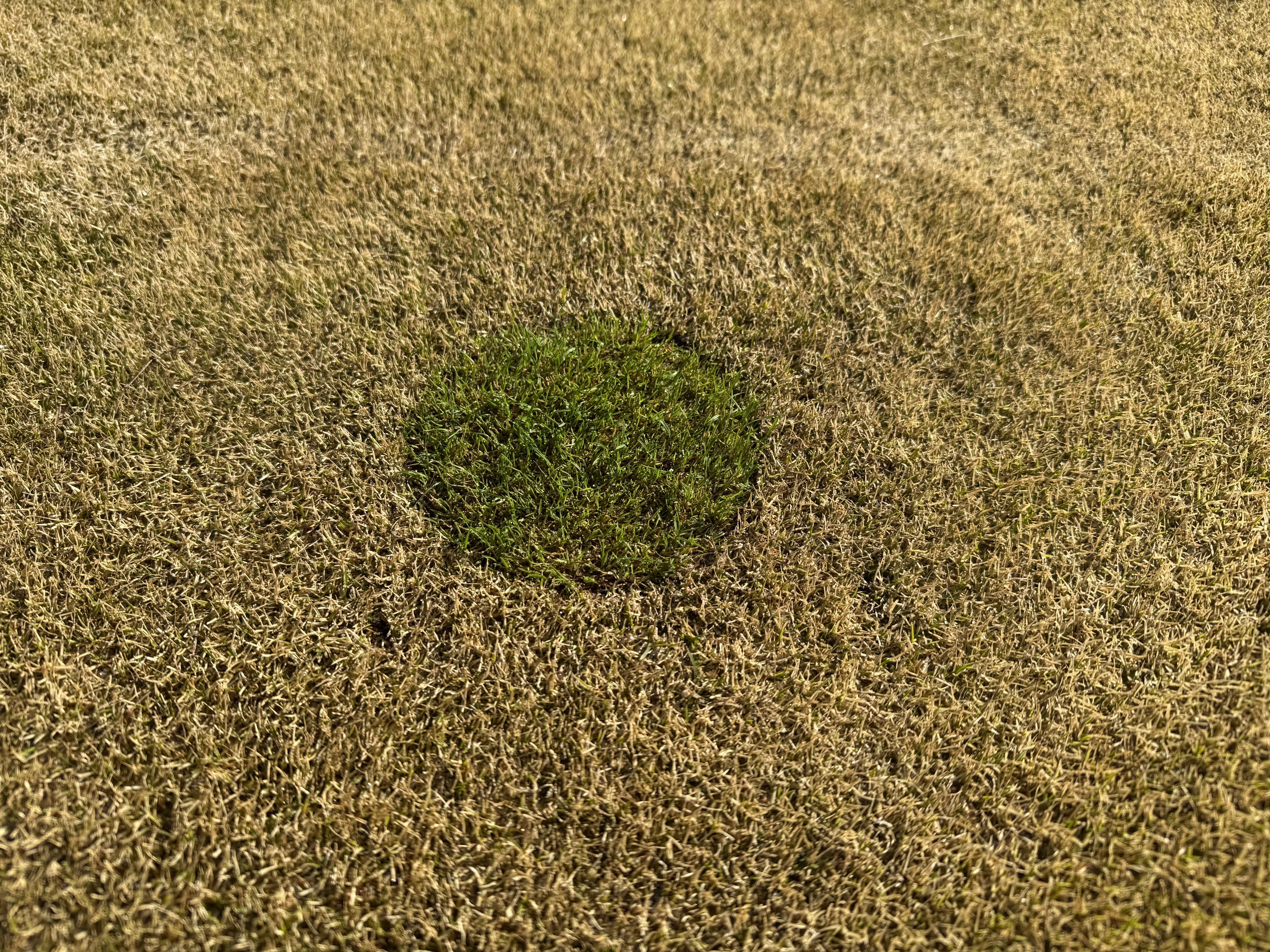 Lydde och teknikbanan stängda tillsvidare
