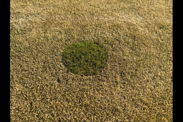 Lydde och teknikbanan stängda tillsvidare