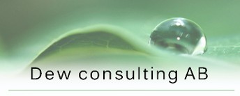 Dew Consulting